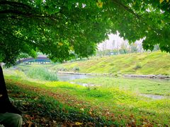 -两河城市森林公园