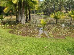 -中国科学院西双版纳热带植物园