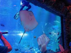 -沈阳海洋探索中心