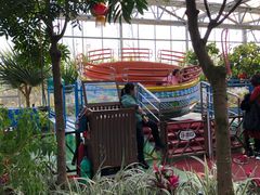 游乐设施-南宫五洲植物乐园