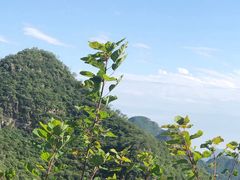 -狼牙山风景区