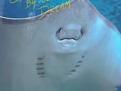 -苏州海洋馆