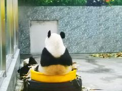-西安秦岭野生动物园