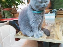 -小时光咖啡馆(北锣鼓巷店)
