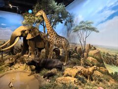 -陕西自然博物馆