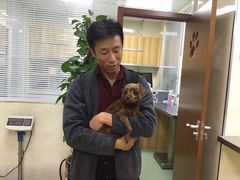 -康乐宝动物医院