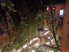-天门沟九州驿站树上汤泉