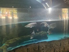 -苏州海洋馆
