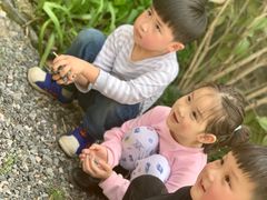 -田园东方蜜桃村的田野营地