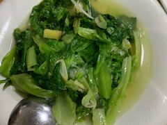 -煲来饱去冷水鱼