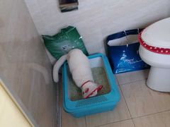 -瑞鹏宠物医院·宠保定点·心脏科·内科(御桥分院)