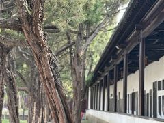 -苏州文庙(姑苏区)