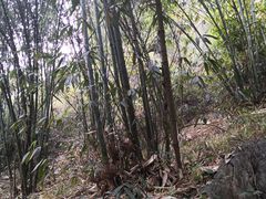 -英西峰林·洞天仙境