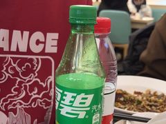 -紫光园·烤鸭(美术馆店)