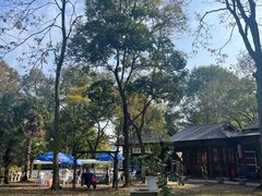 -南京老山国家森林公园