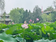 -莲池书院博物馆
