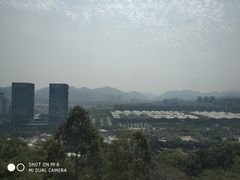 -紫马岭公园