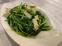 腐皮鸡毛菜-翠亭酒家(山西南路店)