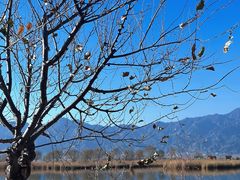 -野鸭湖国家湿地公园