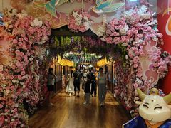 -正佳雨林生态植物园