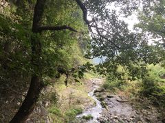 -石台牯牛降景区