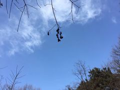 -北京西山国家森林公园