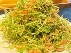 麻盐柳芽苗-赵记煎饼卷大葱(泰山大街店)