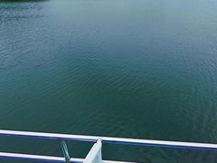 -大京袁记烤全羊农家(大京水库店)