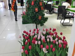 -中国电信(解放三路营业厅)