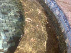 -咸宁万豪温泉谷度假区