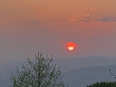-铁山坪森林公园