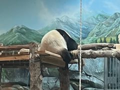 -武汉动物园
