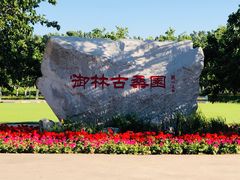 -御林古桑园