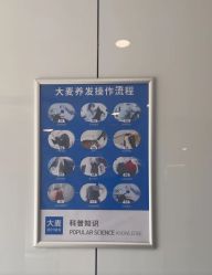 -大麦微针植发丨全国连锁
