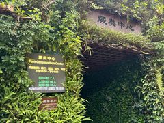 -深圳仙湖植物园