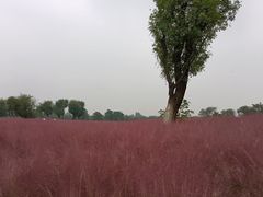 -汉长安城未央宫国家考古遗址公园