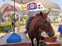 -灵玲国际马戏城