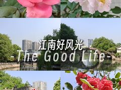 -西湖文化广场