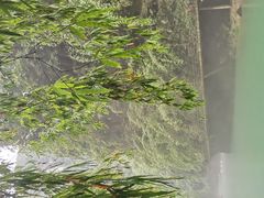 -阿依河景区