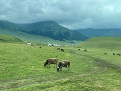 -新疆那拉提国家旅游度假区