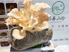 -名善山珍·野生菌汤锅(文殊院店)