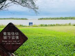 -武清南湖绿博园