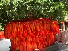 -龙华素斋(龙华路店)