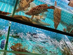 -Olé精品超市(天汇广场店)