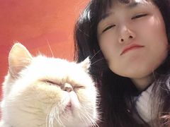 -猫色咖啡·猫咖