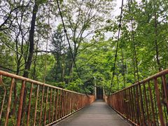 -帽儿山国家森林公园