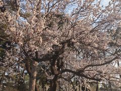 -长春市南湖公园