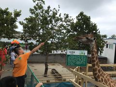 -西霞口神雕山野生动物世界