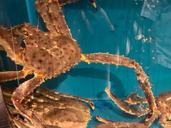 -蟹田居·活蟹料理(东城店)