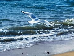 -青岛第一海水浴场